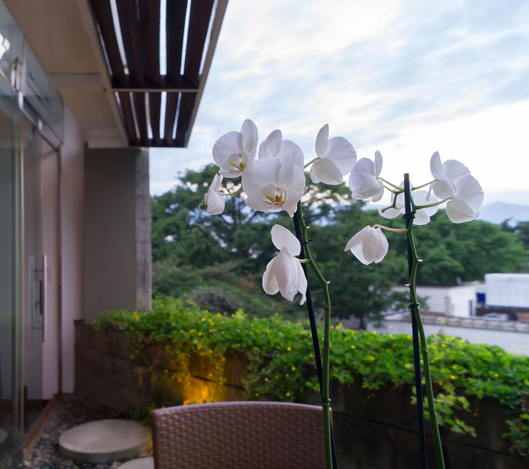 קאלי Acquasanta Lofts Hotel מראה חיצוני תמונה
